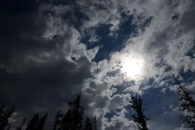 DSC_2955 (Large).JPG